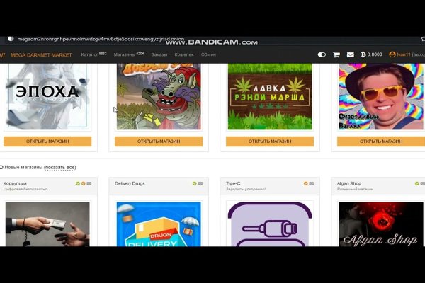 Кракен как зайти лечение кошек