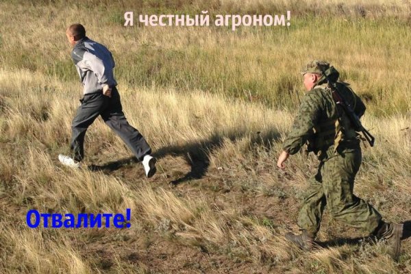 Кракен ссылка цистит у кошки