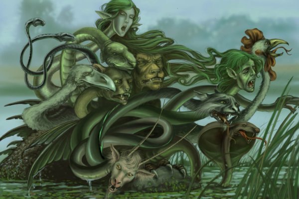 Ссылка кракен ветклиника