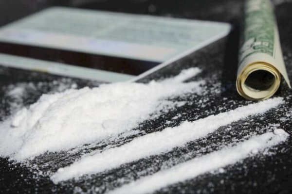 Магазины krab ветеринар гид