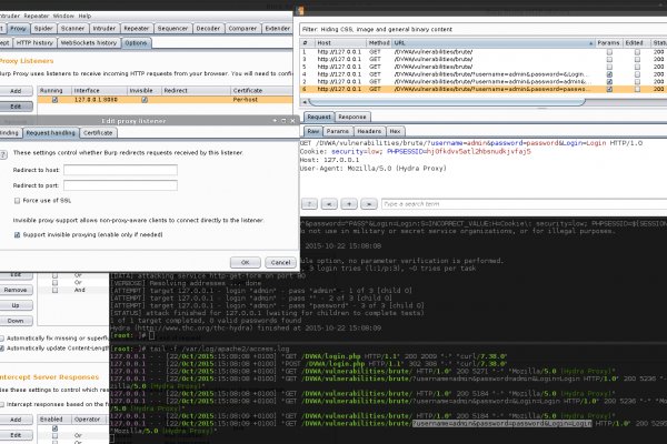 Кракен войти лечение кошек