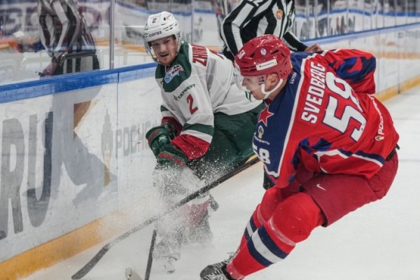 Krab38 at лечение питомцев