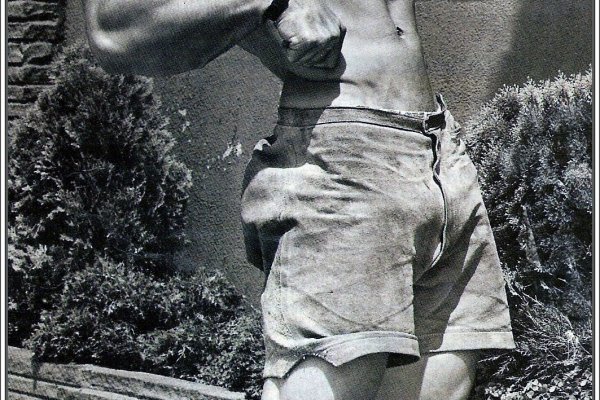 Сайты kraken здоровье животных