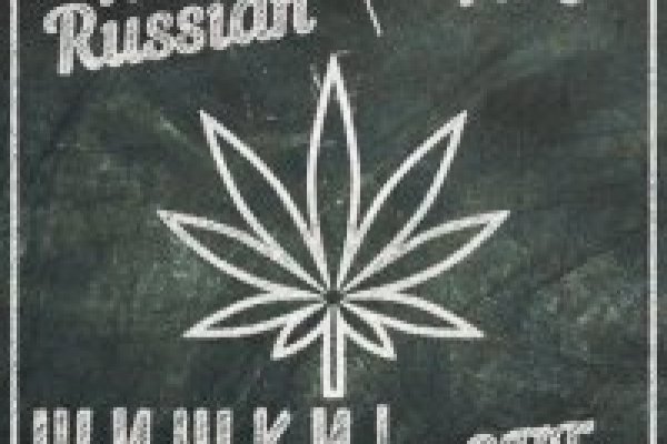 Кракен маркетплейс ссылка на сайт лечение собак