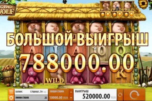 Kraken30 ветеринар гид