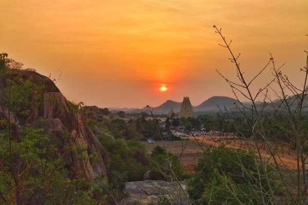 Сайт кракен тор ветеринар