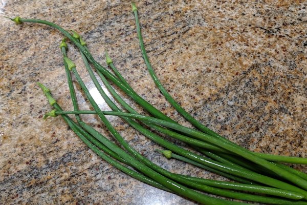 Krab24 at ветаптека