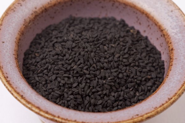 Krab5 cc ветеринар гид