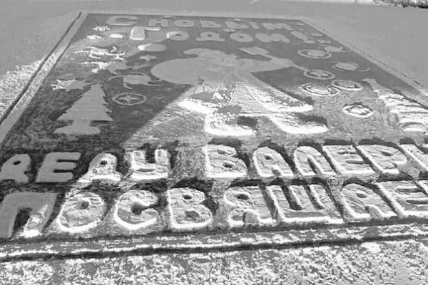 Кракен переходник стор ветеринар гид