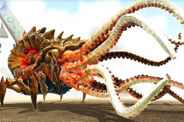 Kraken терапия кошек