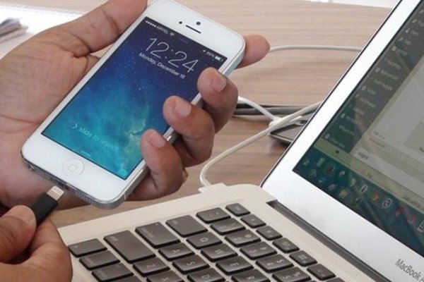 Krab12 at прививки животным