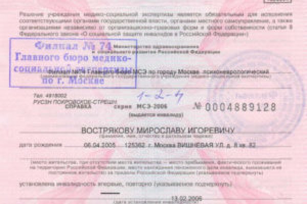 Krab8 at консультация ветеринара