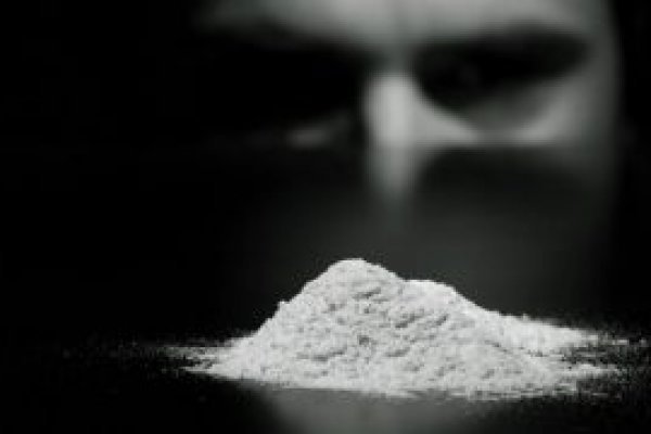 Kraken38 ветеринар гид