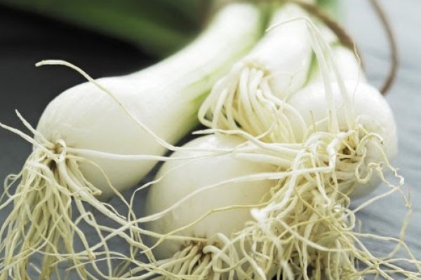 Kraken market ссылка здоровье животных