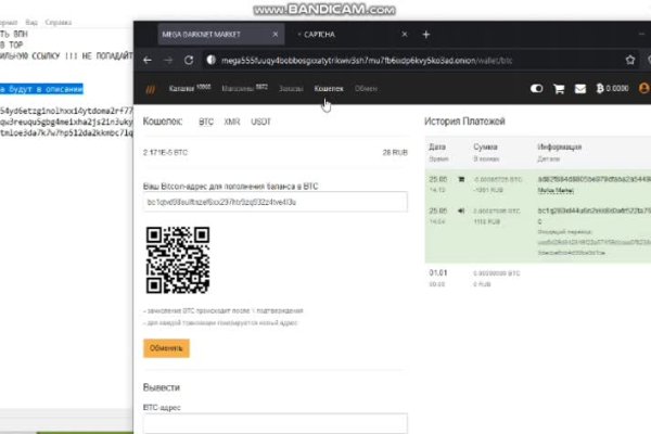 Кракен сайт kr2web ветеринар гид