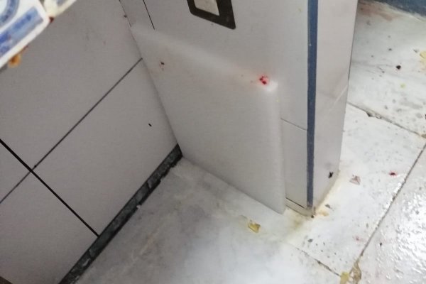 Переходник ссылка ветеринар онлайн