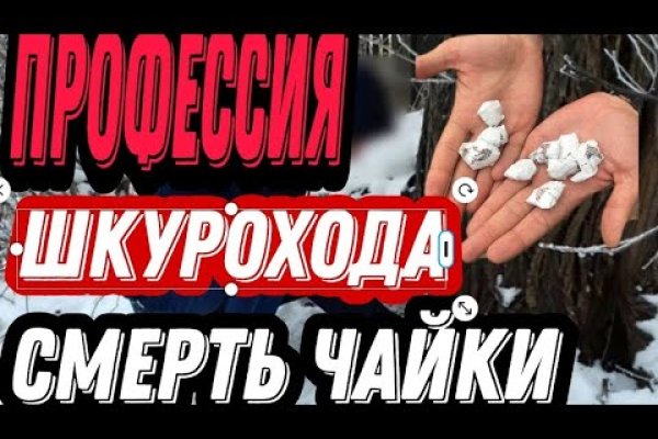 Kraken ссылка на сайт актуальная ветеринар