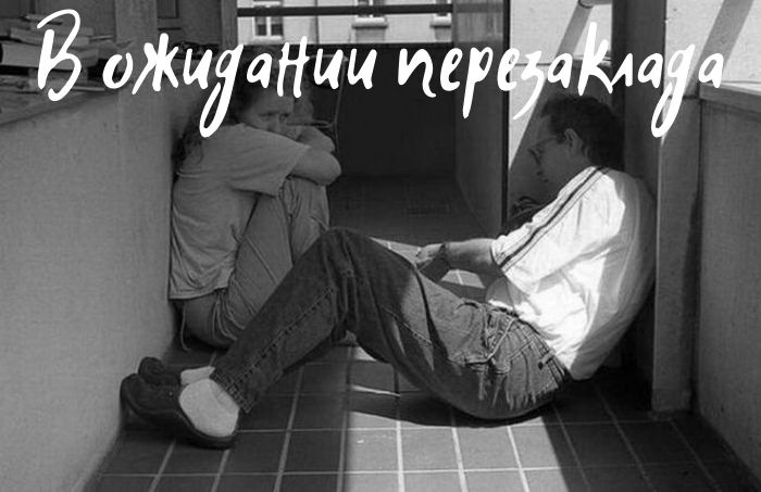 Kraken32 ветеринар