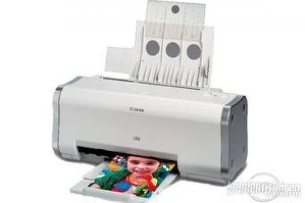 Зеркало на кракен ветеринар гид