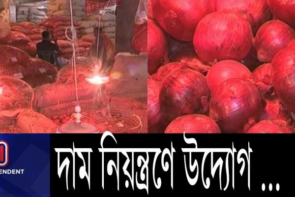 Kraken48 ветклиника