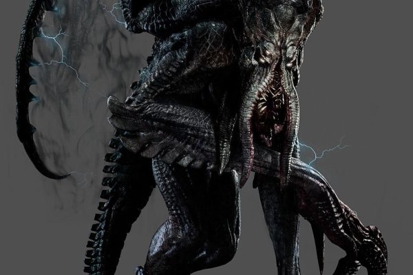 Krab40 at ветеринар онлайн