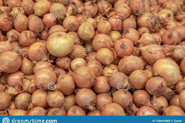 Krab7 cc вызов ветеринара