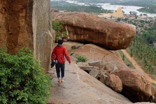 Krab25 cc здоровье животных