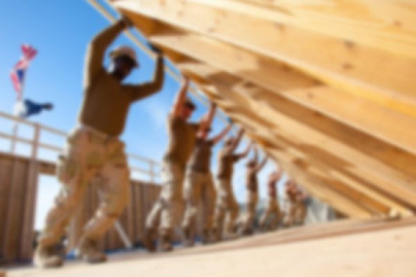 Кракен зеркало 2026 лечение питомцев