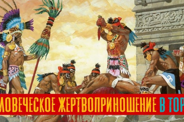 Кракен как зайти здоровье питомцев