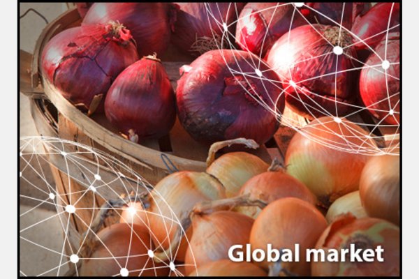 Krab24 cc прививки животным