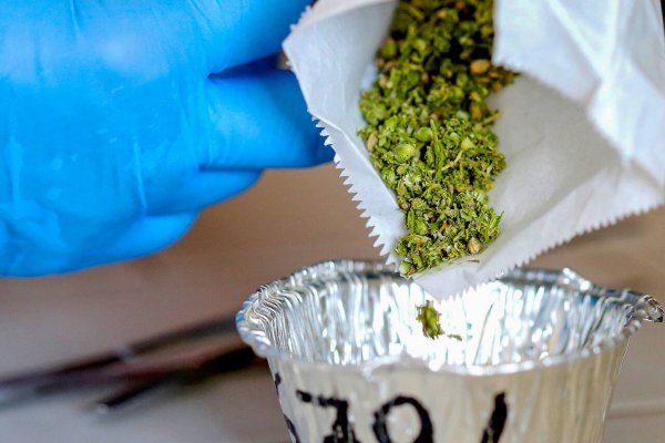 Krab5 at ветаптека