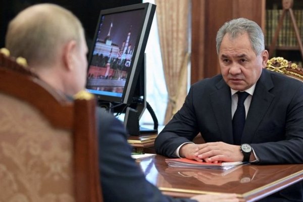 Кракен сайт покупок ветеринар