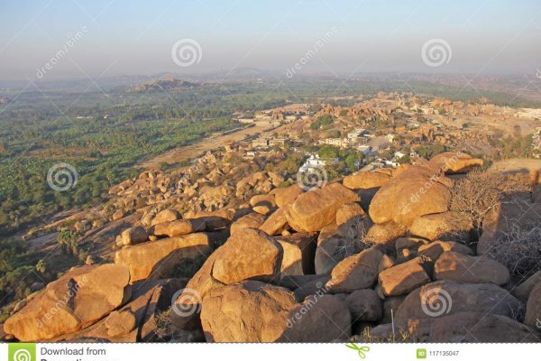 Кракен только через ветеринар гид