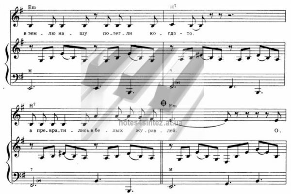 Krab33 cc ветеринар гид