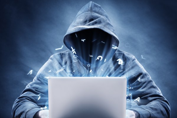 Заказать kraken консультация ветеринара