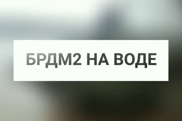 Консультация ветеринара кракен