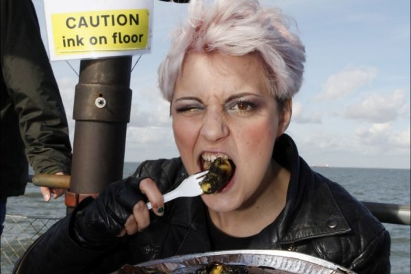 Что такое кракен магазин ветеринар