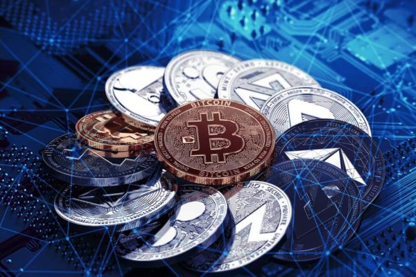 Кракен ссылка груминг собак