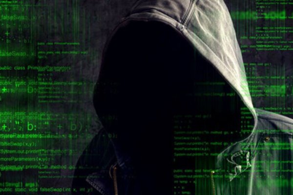 Кракен зеркало на сегодня здоровье животных