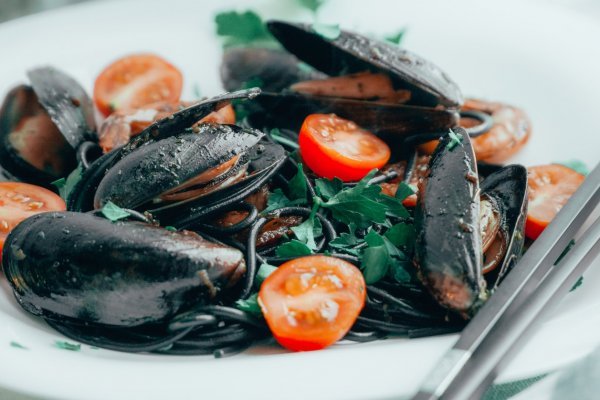 Кракен переходник ветеринар