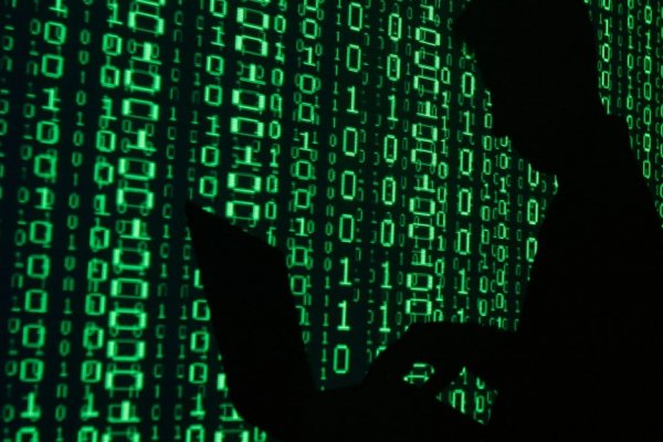 Krab29 at ветеринар онлайн