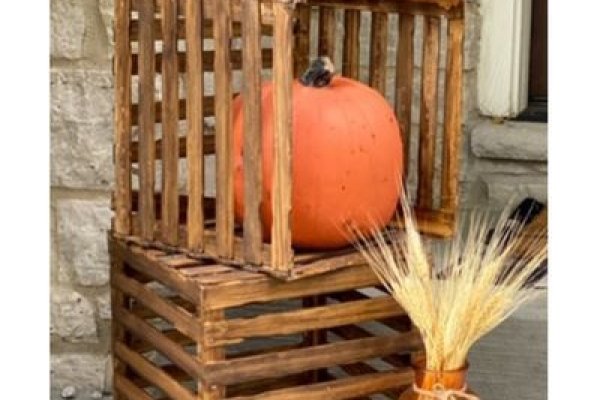 Krab10 cc ветеринарная клиника