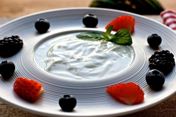 Kraken49 ветеринар гид