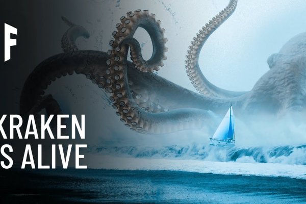 Kraken29 ветклиника
