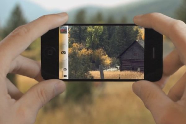 Krab8 cc лечение питомцев