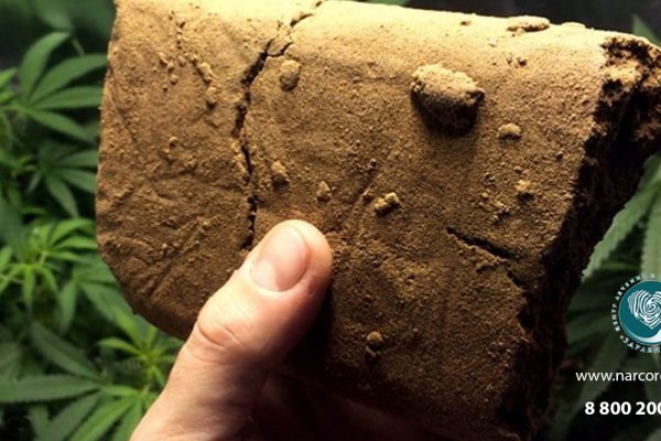 Кракен онион вызов ветеринара на дом