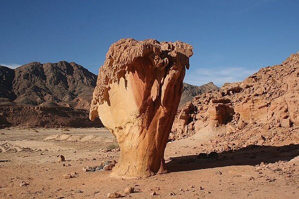 Кракен сайт маркетплейс ветеринар гид