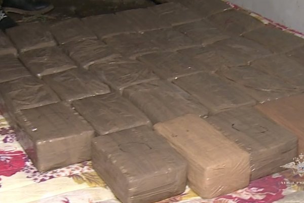 Что такое кракен сайт лечение кошек