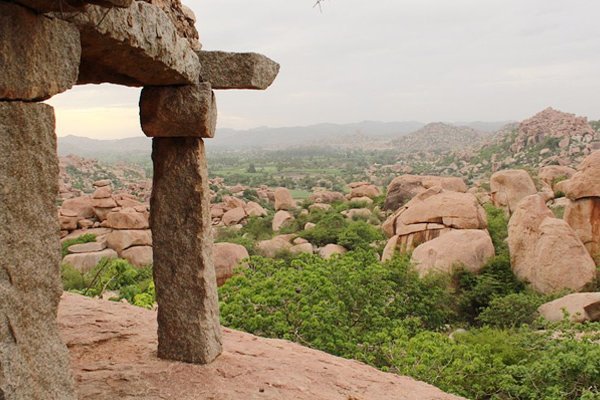 Ссылки для переходника ветеринар гид