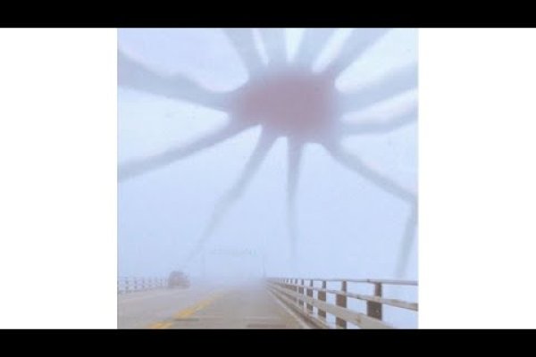 Кракен ссылка официальная на тор ветеринар